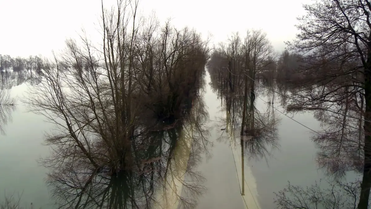 Cataclysmes, les grands régulateurs