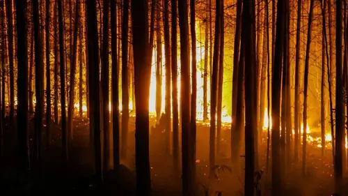 Catastrophes fatales S01E02 Survivre coûte que coûte