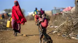 Visuel de Catastrophes naturelles : agir face au chaos
