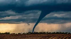 Visuel de Catastrophes naturelles : survivre au pire