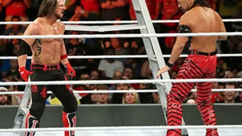 31e édition Catch WWE Survivor Series 2017