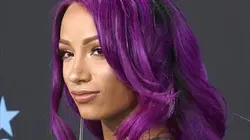 Visuel de Catch World Wrestling Entertainment Raw. Episode 116