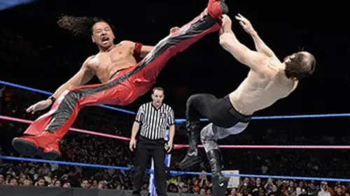 Catch américain : SmackDown 2017