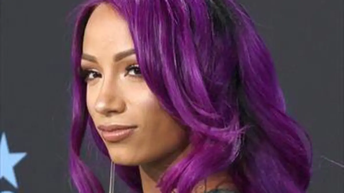 Catch World Wrestling Entertainment Raw. Episode 116