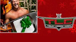 Visuel de Catch WWE TLC : Tables, Ladders & Chairs 2014