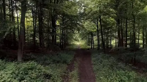 Crime Doc: Catching a Killer S01E02 The Wind In the Willows Murder