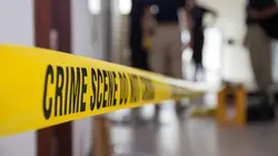 Catfish: Sweet and Sour