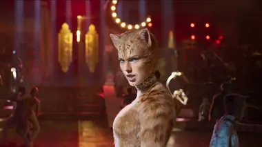 Cats