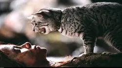 Sur RTL 9 à 20h55 : Catwoman