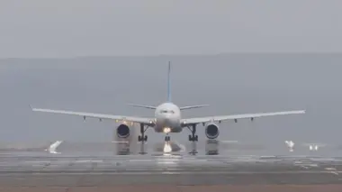Cauchemar en avion