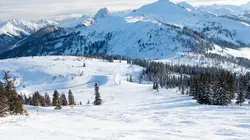 Cauchemar en vacances