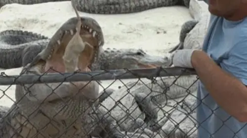 Cauchemars en vacances S01E02