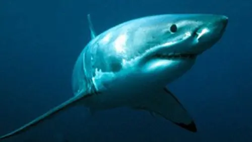 Cauchemars en vacances S02E04