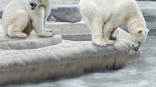 Cauchemars en vacances S02E06