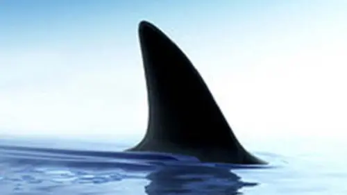 Cauchemars en vacances S02E07