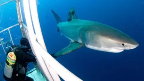 Cauchemars en vacances S01E04