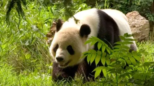 Cauchemars en vacances S01E03