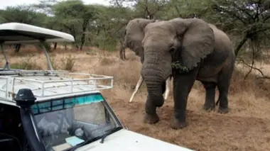 Cauchemars en vacances