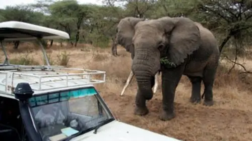 Cauchemars en vacances S01E11