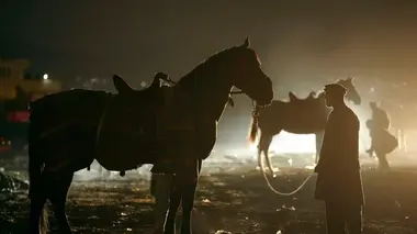 Cavaliers de la liberté