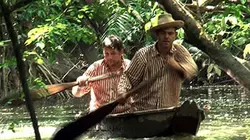 Visuel de Cayenne-Hollywood : les véritables histoires de Papillon