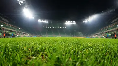 La surprise tricolore !