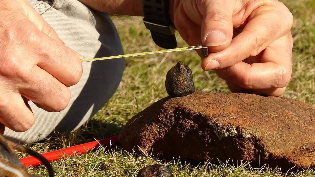 Ce que les crottes nous disent