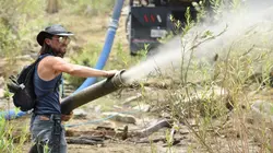Ce trésor nous appartient ! Une orgie de preuves