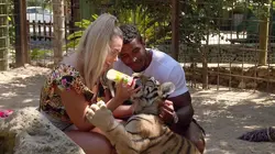 Celebrity Ex on the Beach : la revanche des ex