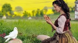 Visuel de Les contes de Grimm