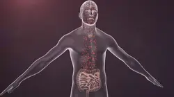 Cerveau, le bonheur est dans l'assiette !