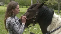 Ces animaux qui nous soignent