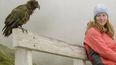 Ces drôles d'oiseaux