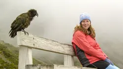 Ces drôles d'oiseaux : Pas si bêtes que ça ! E01