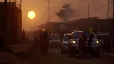 Les gardiens de la forêt