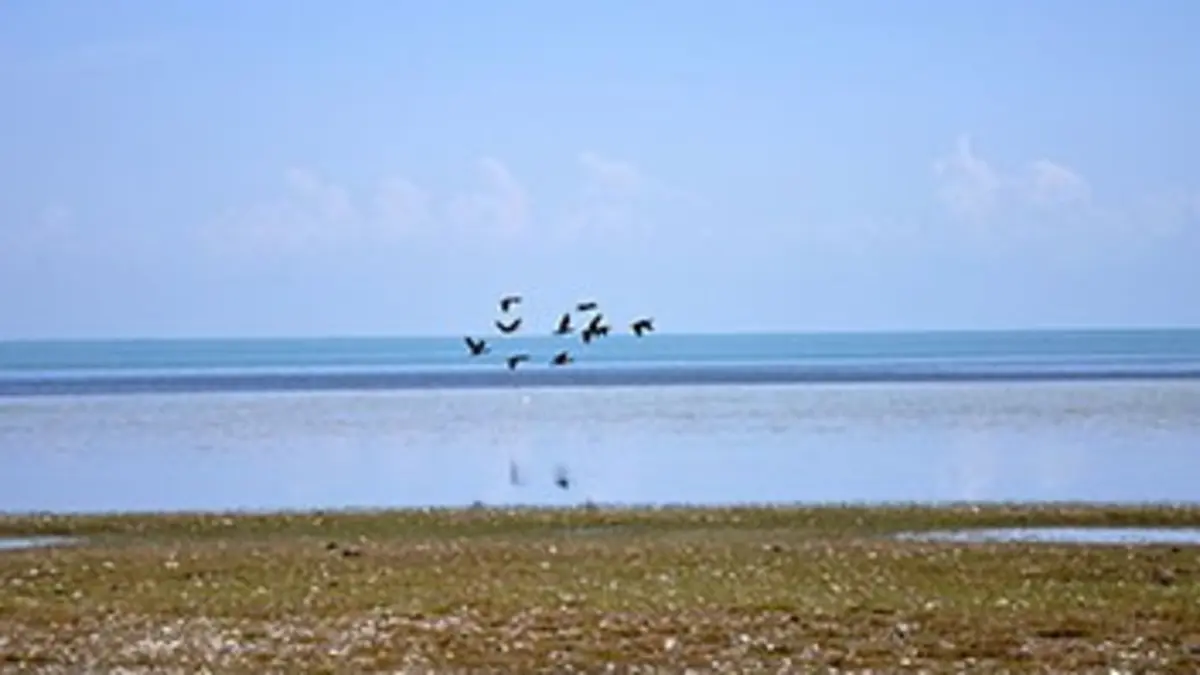 Casting Ces lacs qui tutoient le ciel