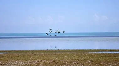 Le lac Qinghai en Chine