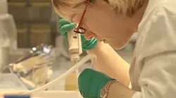 Visuel de Ces microbes qui nous gouvernent