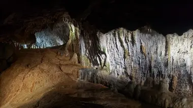 Ces microbes qui vous veulent du bien