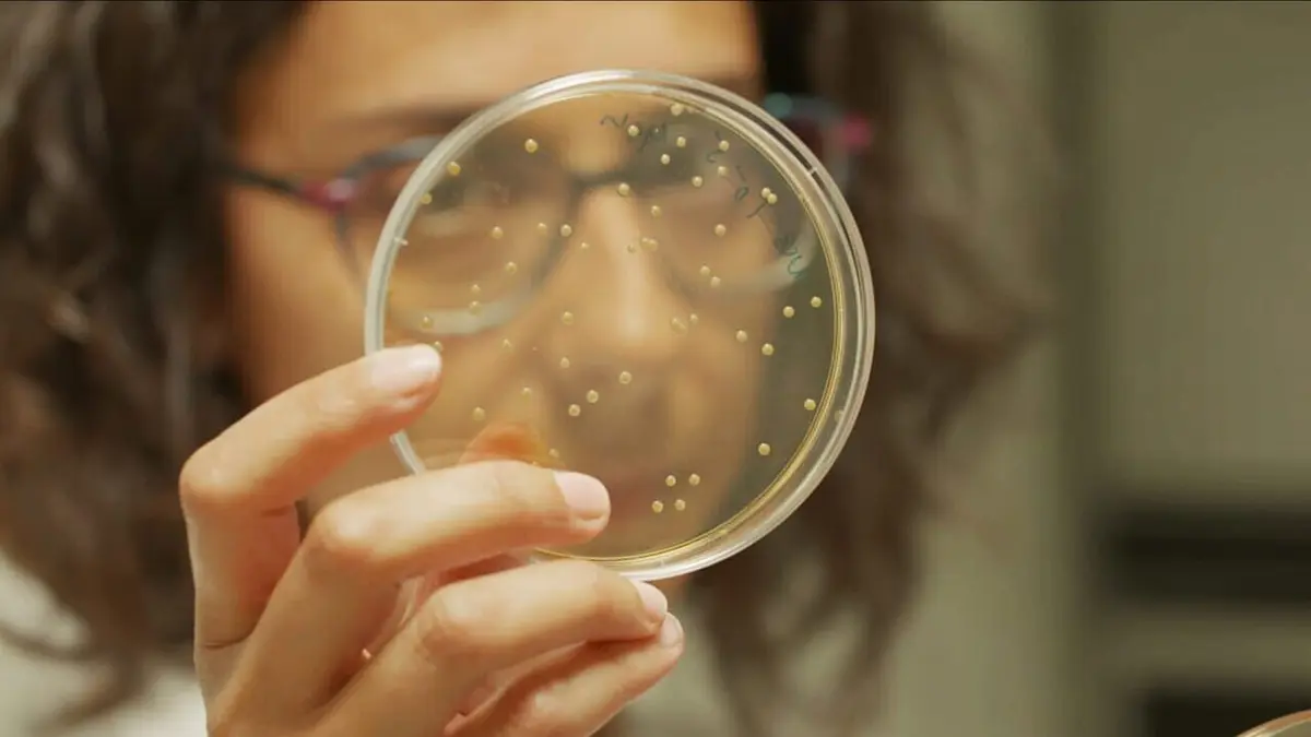 Ces microbes qui vous veulent du bien