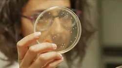 Ces microbes qui vous veulent du bien