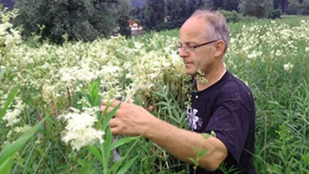 Ces plantes qui nous soignent
