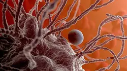 Sur France 5 à 21h40 : Cette planète c'est vous