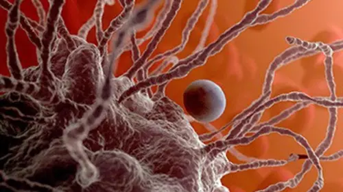 Casting Cette planète c'est vous