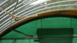 Cévennes, l'hôpital de la vie sauvage