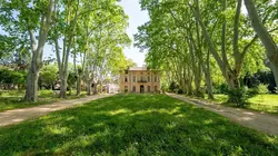 Sur France 3 à 22h45 : Cézanne et les secrets du Jas de Bouffan