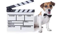 Chacun cherche son chien S01E01 Bienvenue à la maison