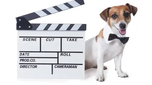 Chacun cherche son chien S01E01 Bienvenue à la maison