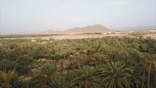 Chacun sa terre Les jardins de Figuig