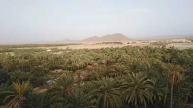 Les jardins de Figuig (Maroc)
